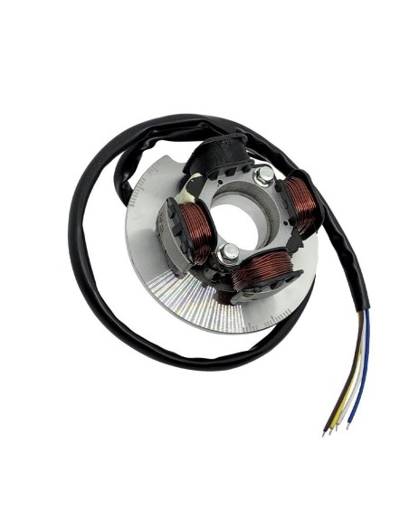 Accensione elettronica EVOK ad anticipo variabile cono Ø19mm Vespa Smallframe 246365000